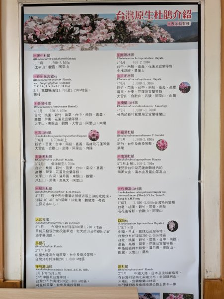 合歡驚魂記2987971