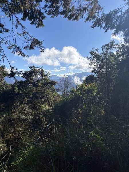 20251225塔山步道(大塔山)2970358