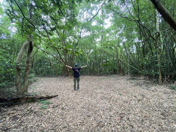 20250614-《皮皮獅秘密任務啟動！搶先探路三段崎古道｜森遊竹縣鐵粉任務大公開》2852025