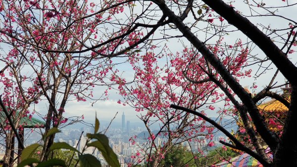烘爐地文筆山造鎮1067403