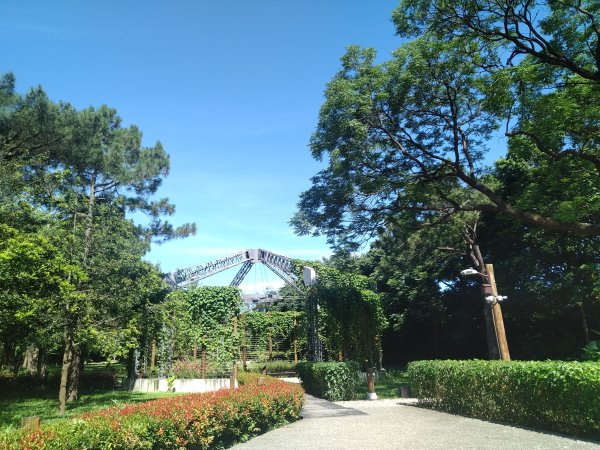 霄裡好風光,運動樂悠遊-大湳森林公園2814918