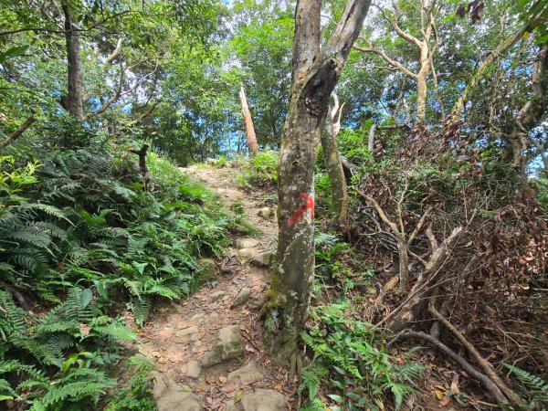 桃園石門山（小百岳）2910069