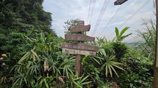 圓通寺烘爐地登山步道大O走3007022