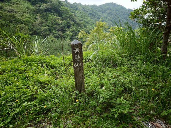 [淡蘭古道] 2026_0524 南路第五段_跑馬古道(下)-玉龍居3070179