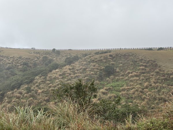 陽明山東西大縱走-東段2984539