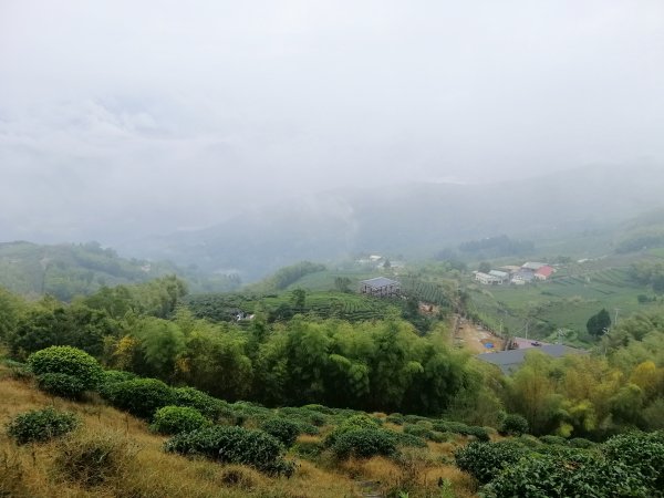 小百岳的西嶽名山#56小百岳雲嘉大尖山