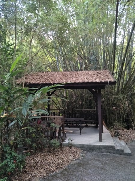霧峰萬豐社區環山步道1920404