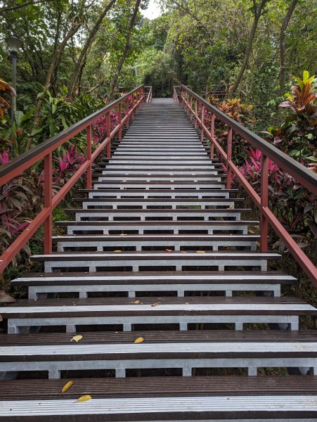 2024-01-28 福州山公園2793290