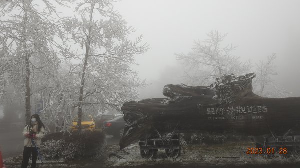 霧茫茫雪白冰封世界-太平山首度追霧淞成功202301282009609