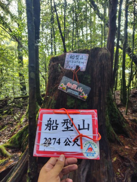 稍來小雪山國家步道、船型山、鞍馬山、鞍馬山東北峰、天池、雪山神木2799849