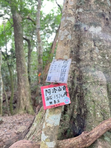 阿冷山 谷關第八雄2877433