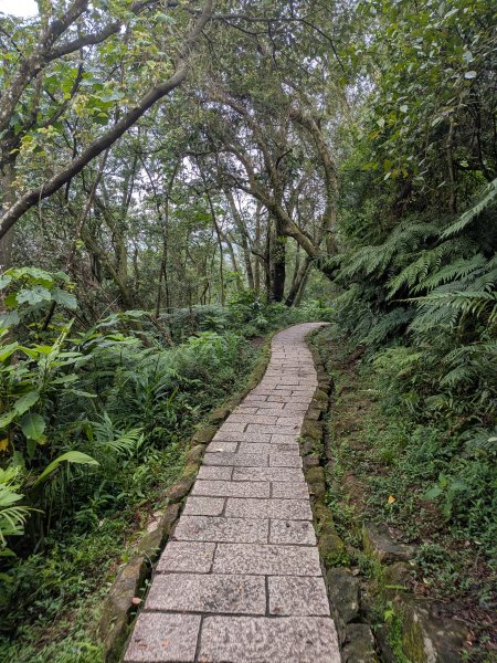 2025-06-08 臺北大縱走第六、七段2814179