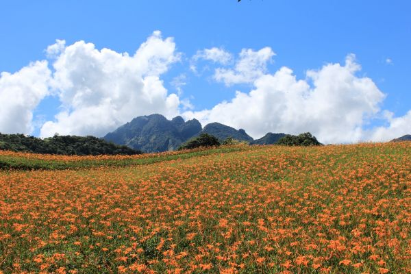 六十石山步道群397718