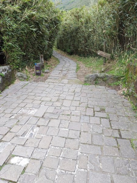 臺北大縱走第三段 小油坑至風櫃口2774177