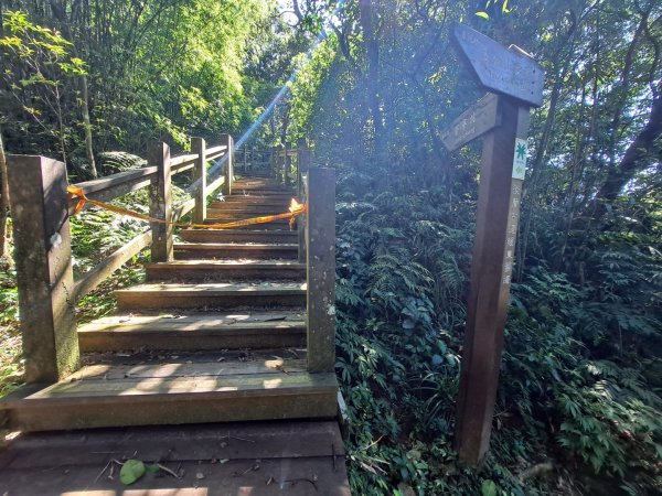 20230911淡蘭古道中段：五分山步道-暖東舊道2446824