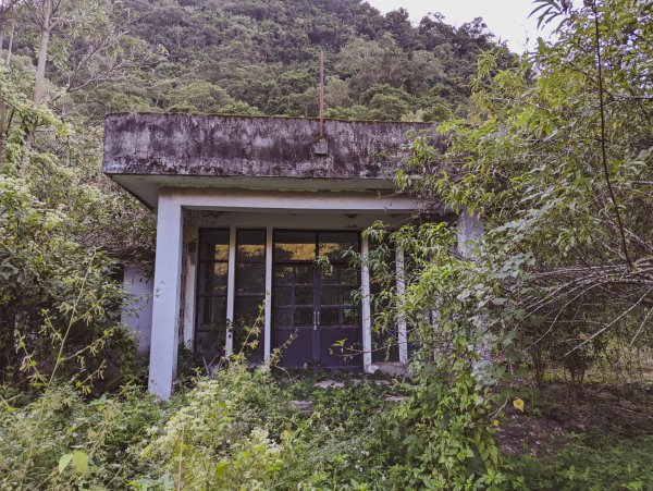 【三地、舊達來】獵人不走的路 - 田良井1514705