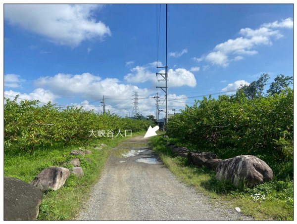 大安溪峽谷 (苗栗、卓蘭)2810024