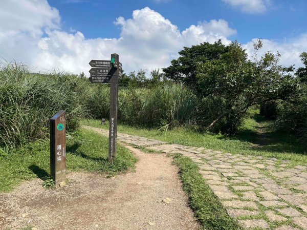 台北 陽明山 絹絲瀑布-擎天崗2722194