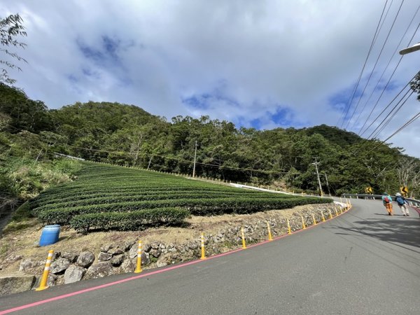 千島湖周邊步道2936037