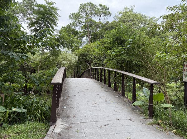[2026臺北健走趣-06/50] 2026_0712_青年公園3098534