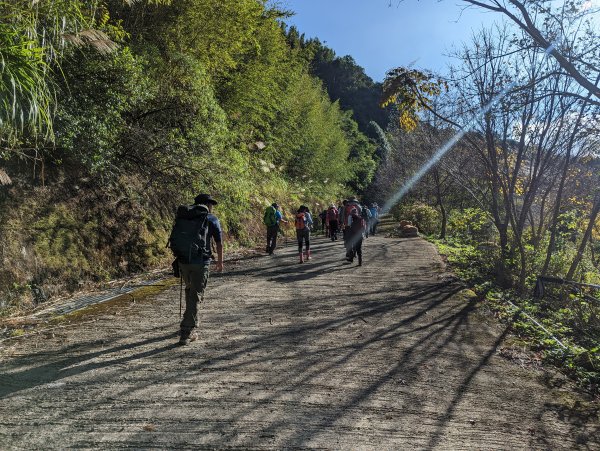 《北插天山》零星的山毛櫸、有點難攀的中級山1917222