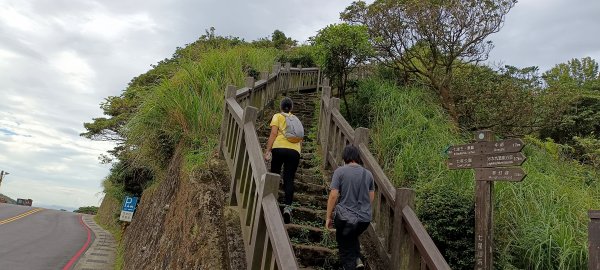 20230729_七星山主峰東峰步道2234436