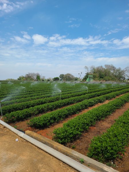 超級曬的一段小O2724206