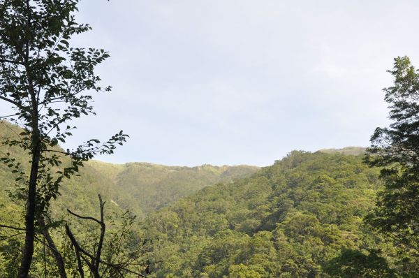 聖母山莊登山步道152621