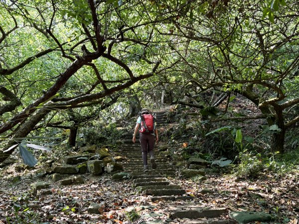 烏山縱走半程 (雲山寺~刣牛湖山) 來回 202504272773717