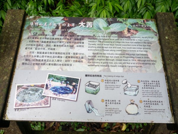 【行腳陽明山】初夏裡蒼翠欲滴的環七星山與百拉卡公路人車分道2188675