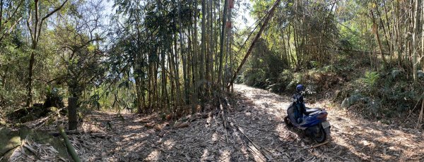 20250120高雄三縣界山-河表湖山-拉比嶺山-玉打山2697482