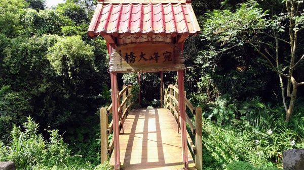 頂福巖森林步道(林口森林步道)2283311