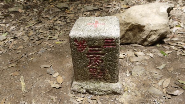 北坑山登山健行趣(中級山)1526372