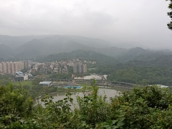 內湖區大湖公園+白鷺鷥山