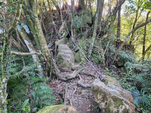 20240114指南宮站經猴山岳二格山鵝角格山至貓空站2430798