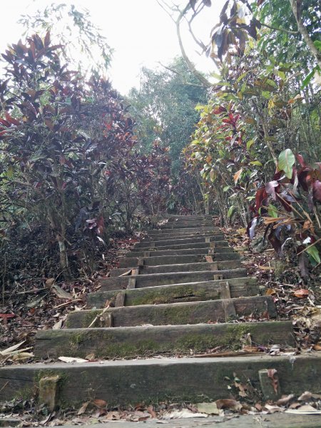 2019 01 09 獨立山國家步道501645