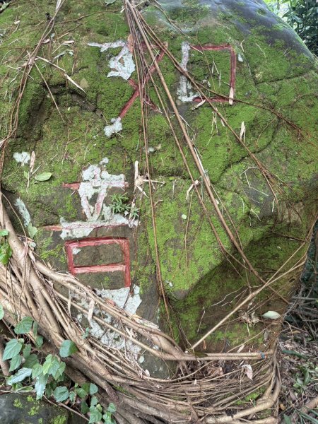 20250816高雄旗尾山2914601