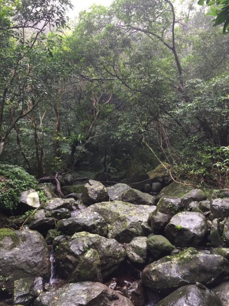 青山瀑布步道1185912