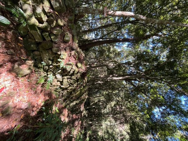 20231115_秀巒軍艦岩步道（森遊竹縣）2762983