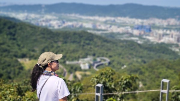 土城六秀2622547