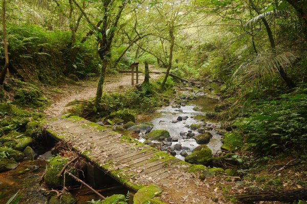 三貂嶺步道與柴寮古道 各自精采514405