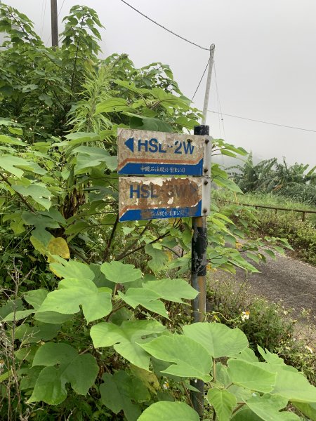 樟之細路E段 (出雲古道+出關雲崠段)726430