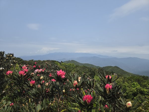No.80小百岳-里龍山2759698