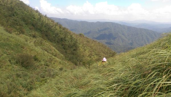 鶯子頂山-鶯子嶺375519