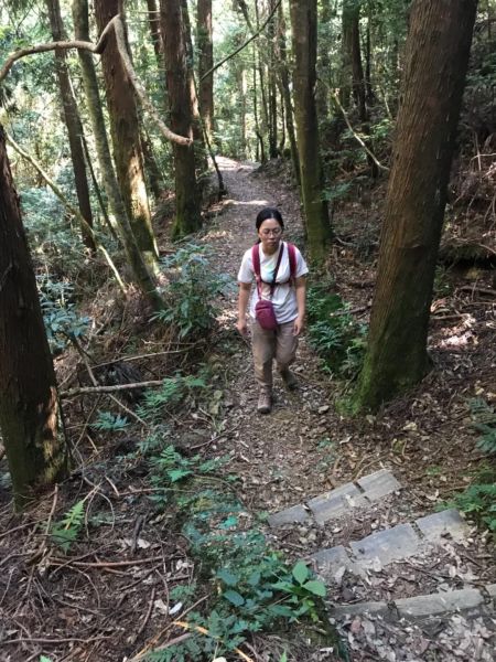 雪見之美 東洗水山北坑山完攻340147