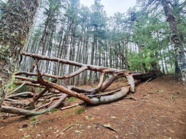 南湖群峰五天四夜2871891