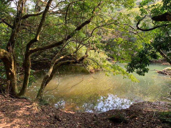 台北大縱走第二段1634992