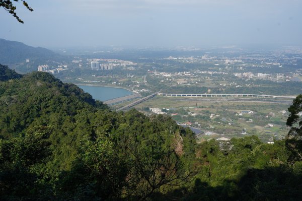 桃園 大溪 新溪洲山、溪洲山、林嵩壽山、內湳溝山、頭寮山3006215