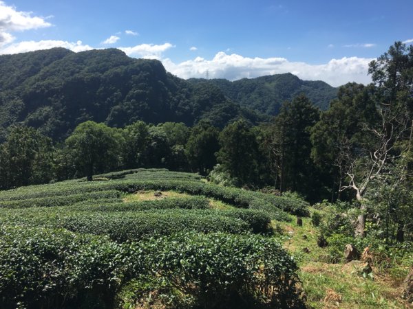 熊空茶園、西熊空山2293081