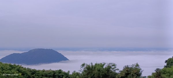 陽明山再見雲海&雲瀑5/23 #五色鳥育雛2510711